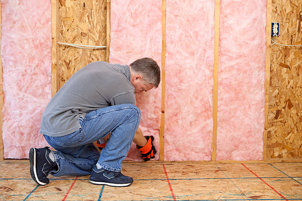 Types of Insulation We Offer in Stewartville, AL